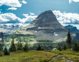 beautiful-shot-grassy-field-trees-with-montana-mountain-distance-1024x819-253x200